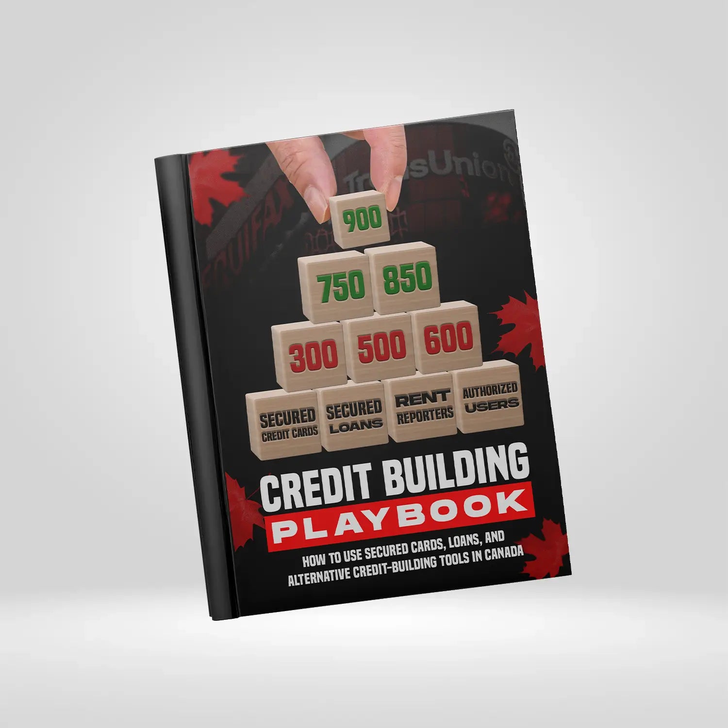 Credit Building Playbook